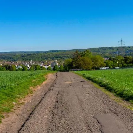 Wonderful Renovated Apartment With Great Location Kaiserslautern Zewnętrze zdjęcie