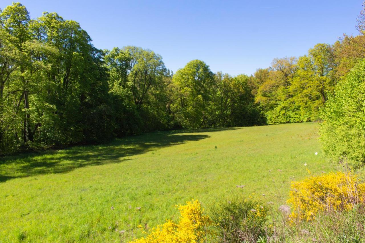Wonderful Renovated With Great Location Apartment Kaiserslautern